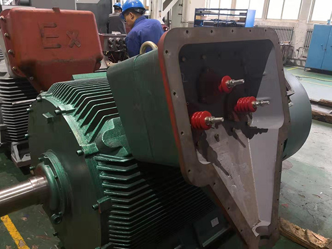為什么在防爆電機中使用雙電壓操作？