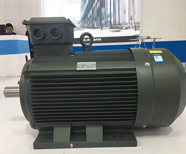 圖為西安泰富西瑪電機有限公司生產的YE5系列高效節能電機