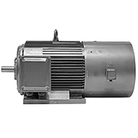YVF2系列6KV變頻三相異步電動機——西安泰富西瑪電機（西安西瑪電機集團股份有限公司）